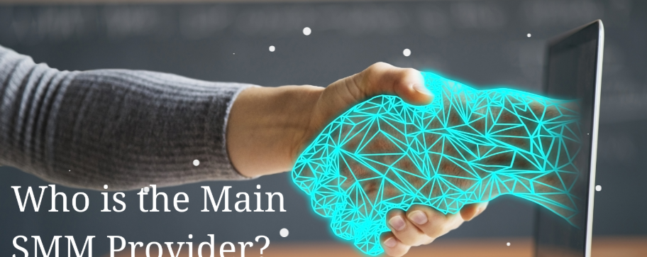 who-is-the-main-smm-provider